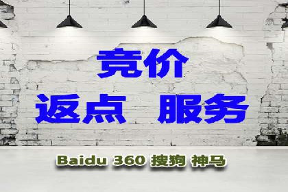 高效SEM托管公司案例对比分析